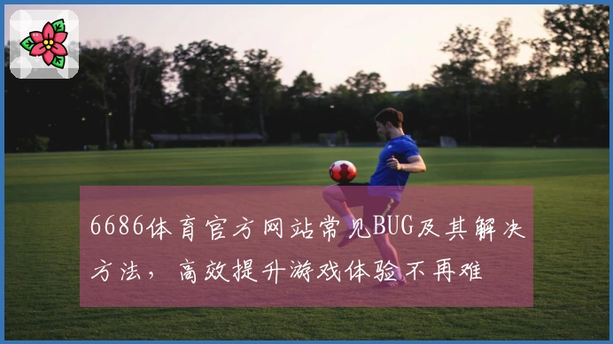 6686体育官方网站常见BUG及其解决方法，高效提升游戏体验不再难
